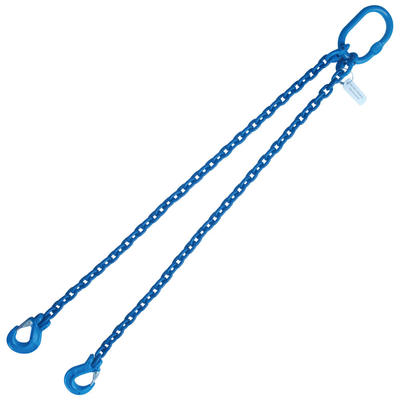 1/2" x 12' G100 Chain Sling with Sling Hook Double Leg