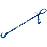 3/8"x6' G100 Adjustable Chain Sling with Foundry Hook 1 Leg