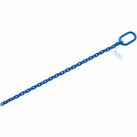 5/16"x2' Grade 100 Chain Sling Open End Single Leg