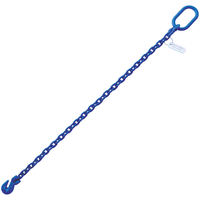5/16" x 6' G100 Chain Sling with Grab Hook Single Leg