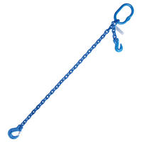 1/2" x10' G100 Chain Sling with Sling Hook Adjustable Single Leg